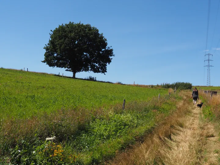 Beausaint (La Roche-en-Ardenne, België)